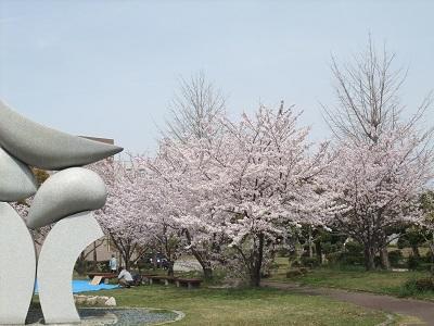 桜　１.jpg